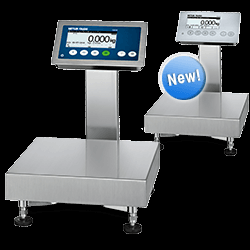 ICS429/ICS439标(biāo)准台(tái)秤(chèng)